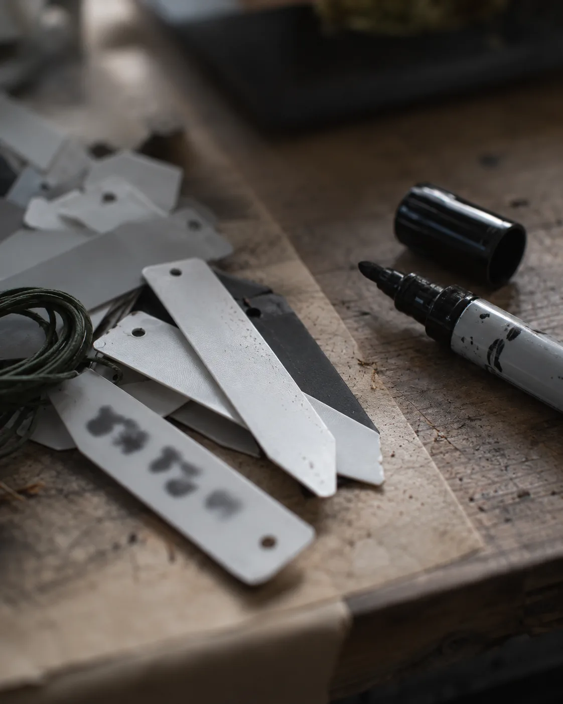 Several plastic plant tags lying on a worn wooden bench beside an uncapped marker pen, one tag carrying marker strokes blurred past legibility; a coil of dark green cord sits at the left.